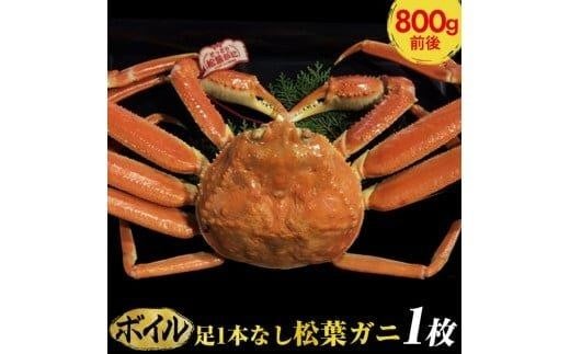 【ボイル】足1本なし 訳あり 松葉ガニ 大1枚(800g前後)【着日指定不可】※2025年11月上旬〜2026年3月下旬頃に順次発送予定《かに カニ 蟹》鳥取県北栄町50000魚介・海産物カニ