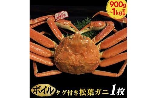 【早期受付】【ボイル】タグ付き松葉ガニ 特大1枚(900g〜1kg前後)《かに カニ 蟹》※着日指定不可※2025年11月上旬頃から順次発送予定鳥取県北栄町77000魚介・海産物カニ