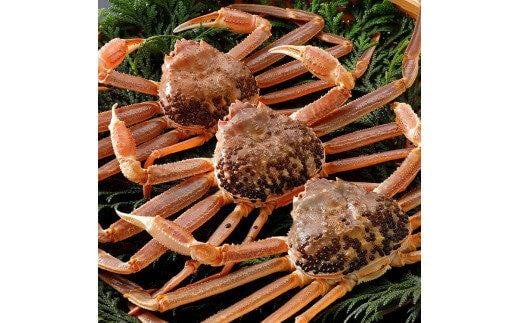 754.yz2025N11  tɁyuh^Otz 3ti1kg×3tj挧kh305000ECYJj