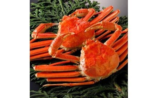 764.y{Cz2025N11  tɁyuh^Otzi700g×2tj挧kh103000ECYJj