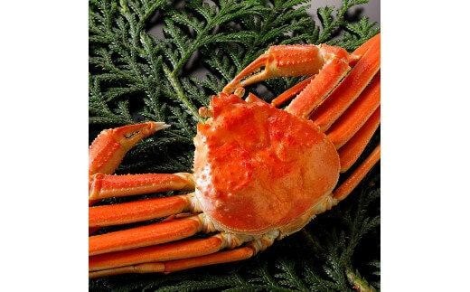 771.y{Cz2025N11  tɁyuh^Otz 500g×1t挧kh44000ECYJj