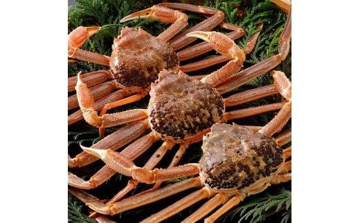 769.【活】≪2025年11月発送≫ 特撰 松葉がに【ブランドタグ付き】 500g超×3杯鳥取県北栄町117000魚介・海産物カニ