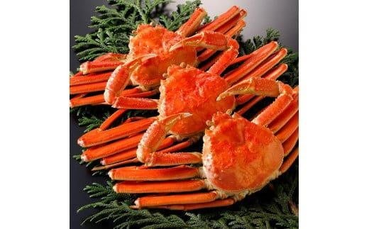 769.y{Cz2025N11  tɁyuh^Otz 500g×3t挧kh117000ECYJj