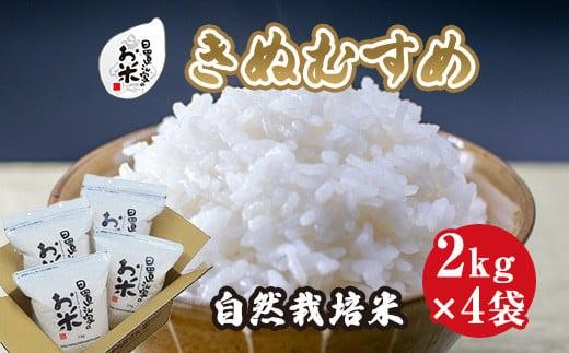 171.日置さん家の自然栽培米「きぬむすめ」精米 2kg×4袋 2025年産鳥取県北栄町26000米・パン白米