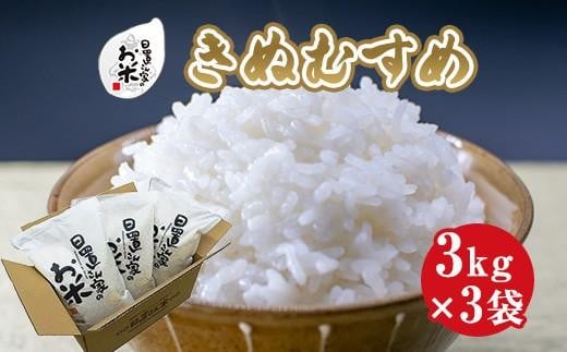 179.uƂ̂āuʂނ߁v3kg×3܁yāE2025NYz挧kh23000āEp