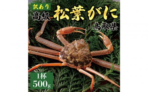 1056.【2025年11月発送】特撰 松葉がに(なま)【訳あり】500g超のサイズ 食べ応えあり 1杯鳥取県北栄町39000魚介・海産物カニ