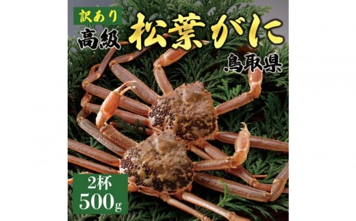 1057.【2025年11月発送】特撰 松葉がに(なま)【訳あり】500g超のサイズ 食べ応えあり 2杯鳥取県北栄町66000魚介・海産物カニ