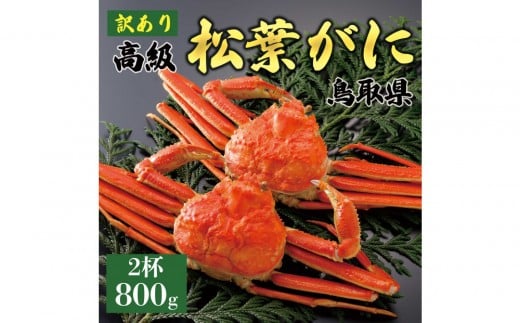 1048.【2025年11月発送】特撰 松葉がに(茹)【訳あり】800g超の大きいサイズ 食べ応えあり 特大2杯鳥取県北栄町106000魚介・海産物カニ
