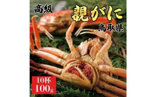 1067.y2025N11z挧Y  e pyZRKjzi䥁j100g 10t挧kh25000ECYJj