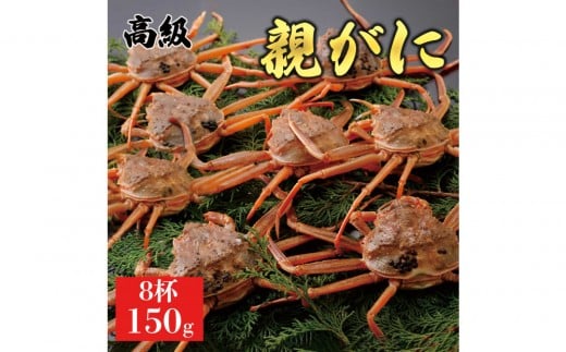 1069.【2025年11月発送】鳥取県産 特撰 親がに 姿【セコガニ】(なま)【訳あり】150g 8杯鳥取県北栄町26000魚介・海産物カニ
