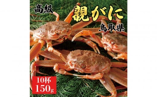 1070.【2025年11月発送】鳥取県産 特撰 親がに 姿【セコガニ】(なま)【訳あり】150g 10杯鳥取県北栄町32000魚介・海産物カニ