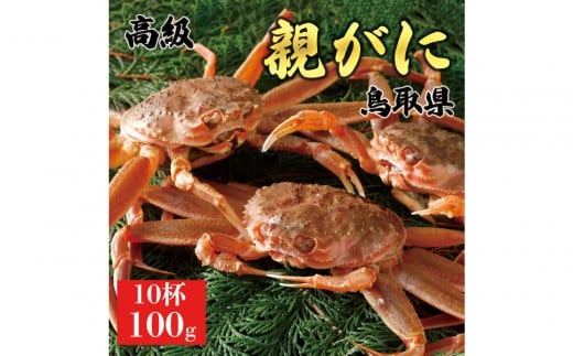 1073.【2025年11月発送】鳥取県産 特撰 親がに 姿【セコガニ】(なま)【訳あり】100g 10杯鳥取県北栄町21000魚介・海産物カニ