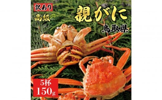 1068.y2025N11z挧Y  e pyZRKjzi䥁jy󂠂z150g 5t挧kh20000ECYJj