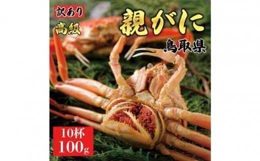 1073.y2025N11z挧Y  e pyZRKjzi䥁jy󂠂z100g 10t挧kh21000ECYJj