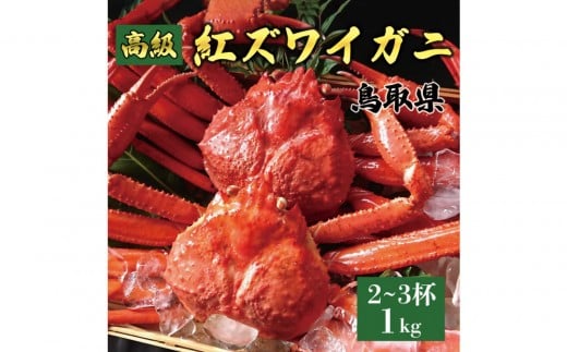 1074.鳥取産 特撰 紅ズワイガニ【釜茹で】1kg 2〜3杯鳥取県北栄町19000魚介・海産物カニ