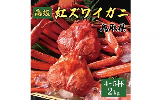1075.鳥取産 特撰 紅ズワイガニ【釜茹で】2kg 4〜5杯鳥取県北栄町36000魚介・海産物カニ