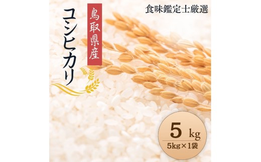 yߘa7NYVāzyHӒmIz 挧Y RVqJ5kg (5kg×1)yV     Ђ  ͂ ͂  挧 kh  lC 2025NY ߘa7N I