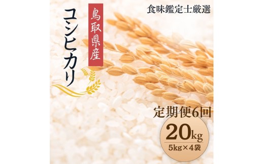 【定期便全6回】【令和7年産新米】【食味鑑定士厳選】 鳥取県産 コシヒカリ20kg (5kg×4袋) 合計 120kg【定期便 新米 米 お米 こめ 白米 こしひかり ご飯 ごはん 白ごはん 白ご飯 鳥取県 北栄町