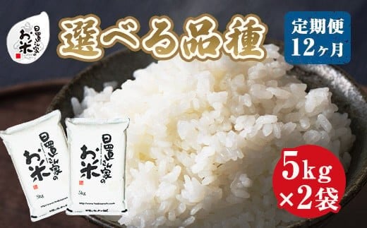 【品種が選べる】日置さん家のお米 12ヶ月定期便 5kg×2袋×12回【新米 米 こめ 定期便 5kg ご飯 ごはん おにぎり 鳥取県 北栄町 おすすめ 人気 品種 コシヒカリ きぬむすめ ひとめぼれ ミルキー