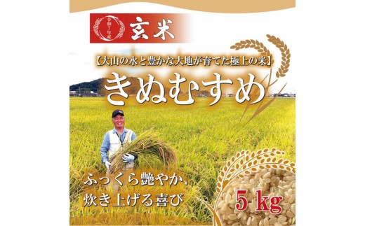 1106.ߘa7NY@ʂނߌ 5kg挧kh16000āEpāEGāEāE