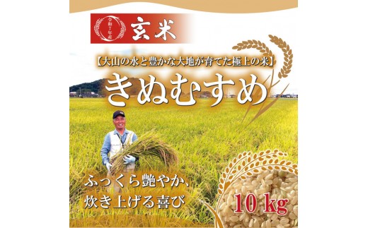 1107.令和7年産 きぬむすめ玄米 10kg鳥取県北栄町32000米・パン玄米・雑穀米・もち米・餅