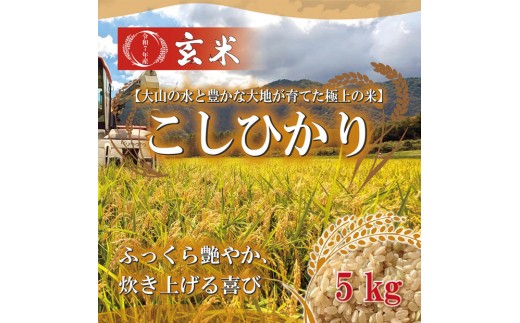 1108.ߘa7NY@Ђ茺ā@5kg挧kh15000āEpāEGāEāE