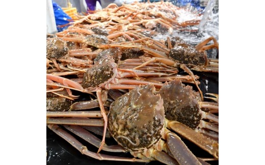 1102.y{Cz󂠂@tKj܂2kgi3`7j2025N11{`2026N3{ɏ\聦ws挧kh57000ECYJj