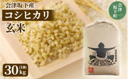 3-D コシヒカリ 玄米 会津 30kg 令和7年産 | 特別栽培米 減農薬 米 お米 藤川農産 ※2025年10月上旬頃より順次発送予定福島県会津坂下町60000米・パン白米