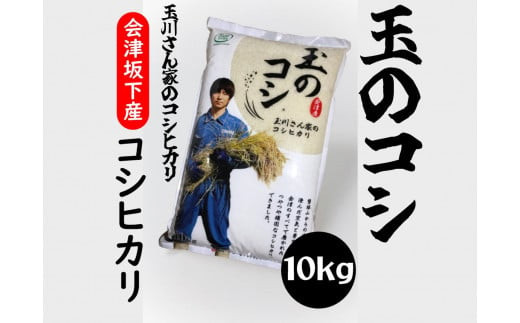 36-A (株)T.Farming 玉のコシ(玉川さんちのコシヒカリ)(令和6年産米)会津坂下産コシヒカリ 白米10kg×1袋 ※沖縄・離島への配送不可 ※2024年10月中旬頃より順次発送予定福島県会津