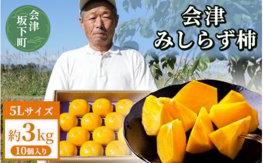 y\Jnz` Â݂炸` 5LTCY 10 3kg t[c ʕ Mtg a`  ɓʎ 2025N11菇\ 23-CÍ≺14000ʕEt[c̑ ʕEt