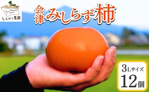 61-B ׂ_̉Â݂炸` 3LTCY12 2025N11{`12{ɏ\蕟Í≺18000ʕEt[c̑ ʕEt[c