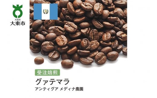 []#105 I310g O@e} AeBOA fBi_ 蓤 R[q[ {哌s5000ER[q[Eg