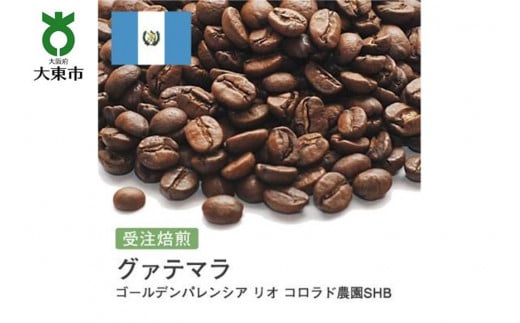 []#80 I310g OAe} S[fpVA I Rh_SHB 蓤 R[q[ {哌s5000ER[q[Eg