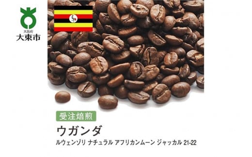 []#138 I310g EK_ AFRICAN MOON JACKAL EF] 21-22yNew Crop!z蓤 R[q[ {哌s5000ER[q[Eg