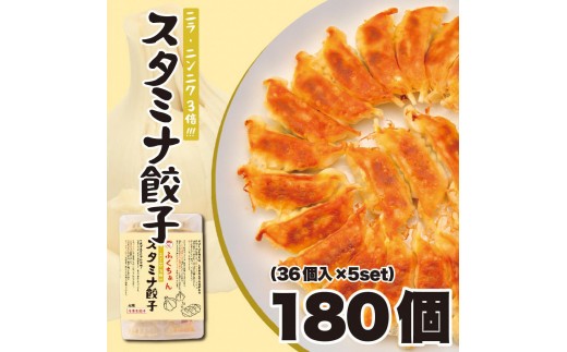 y㖼zӂX^~iLq ⓀLq 180 m36×5Zbgn{哌s18000ZbgE؁EHHi