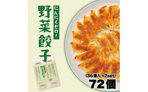 y㖼zӂLq ⓀLq 72 m36×2Zbgn{哌s8000ZbgE؁EHHi