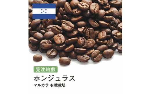 コーヒー豆 #189 ホンジュラス マルカラ 有機栽培 オーガニック 受注焙煎!310g 珈琲豆 コーヒー豆 自家焙煎大阪府大東市5000お茶・飲料コーヒー・紅茶