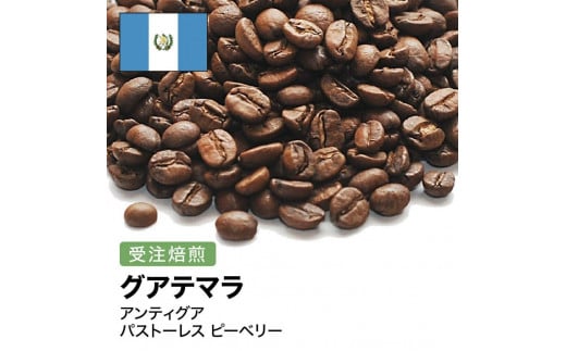 コーヒー豆 #265 グアテマラ アンティグア パストーレス ピーベリー 受注焙煎!310g 珈琲豆  自家焙煎大阪府大東市5000お茶・飲料コーヒー・紅茶