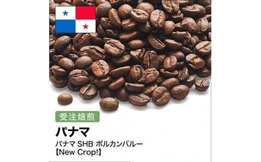 コーヒー豆 #267 パナマSHB ボルカンバルー 受注焙煎!310g 珈琲豆  自家焙煎大阪府大東市5000お茶・飲料コーヒー・紅茶