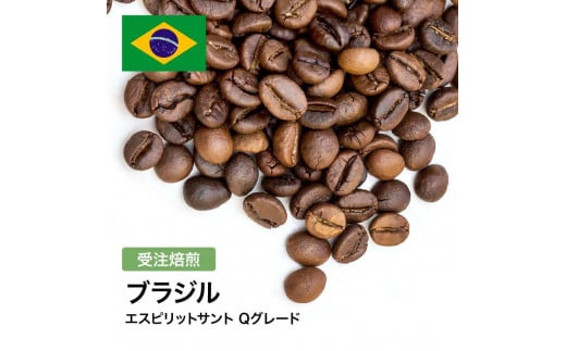 コーヒー豆 #305 ブラジル エスピリットサント Qグレード 受注焙煎!310g 珈琲豆  自家焙煎大阪府大東市5000お茶・飲料コーヒー・紅茶