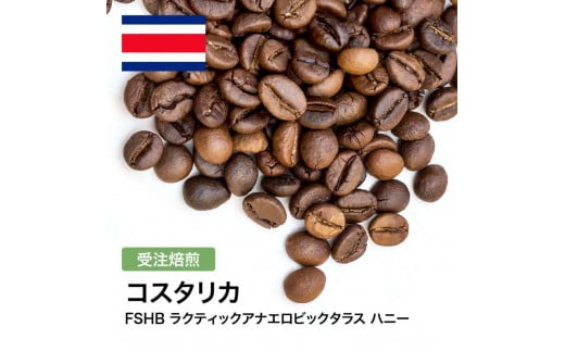コーヒー豆 #306 コスタリカ FSHB ラクティックアナエロビックタラス ハニー 受注焙煎!310g 珈琲豆  自家焙煎大阪府大東市5000お茶・飲料コーヒー・紅茶