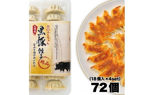 y㖼zӂ񍕓Lq ⓀLq 72 m18×4Zbgn{哌s8000ZbgE؁EHHi