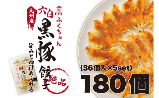 y㖼zӂ񍕓Lq ⓀLq 180 m36×5Zbgn{哌s18000ZbgE؁EHHi