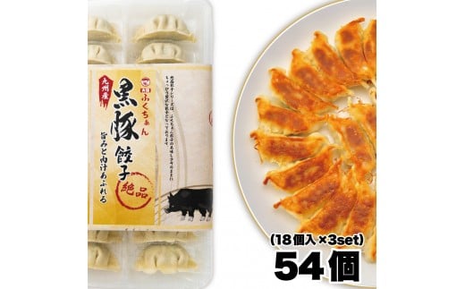 y㖼zӂ񍕓Lq ⓀLq 54 m18×3Zbgn{哌s5000ZbgE؁EHHi