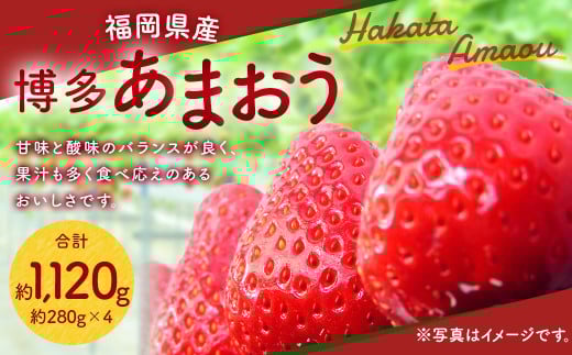 福岡県産 博多 あまおう 約1.12kg(約280g×4パック)【2026年1月下旬〜3月下旬発送予定】 ※北海道・沖縄・離島配送不可福岡県直方市11000果物・フルーツいちご