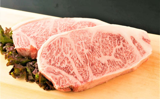 博多和牛 サーロイン ステーキ 500g(250g×2枚)牛肉福岡県直方市16000肉牛肉