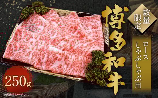【数量限定 博多和牛】ロース しゃぶしゃぶ用 250g 牛肉 黒毛和種 和牛 しゃぶしゃぶ 焼きしゃぶ すき焼き 鍋 霜降り 肉 国産 福岡県産福岡県直方市11000肉牛肉