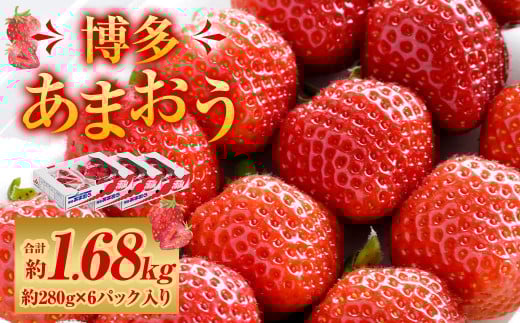 福岡県産 博多あまおう 約1.68kg (約280g×6パック入り) 【2026年1月下旬〜3月下旬発送予定】 ※北海道・沖縄・離島配送不可福岡県直方市15000果物・フルーツいちご