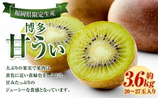 福岡県産 博多甘うぃ 約3.6kg (20玉〜27玉入り) 【2025年10月下旬〜11月下旬発送】※北海道・沖縄・離島配送不可福岡県直方市12000果物・フルーツその他 果物・フルーツ