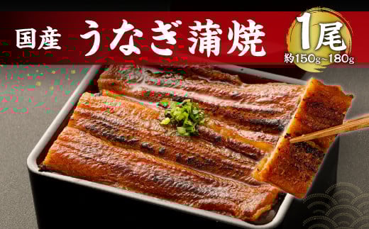 鹿児島産 うなぎ の 蒲焼き 1本 約150〜180g 老舗130年の味 鰻福岡県直方市13000魚介・海産物うなぎ